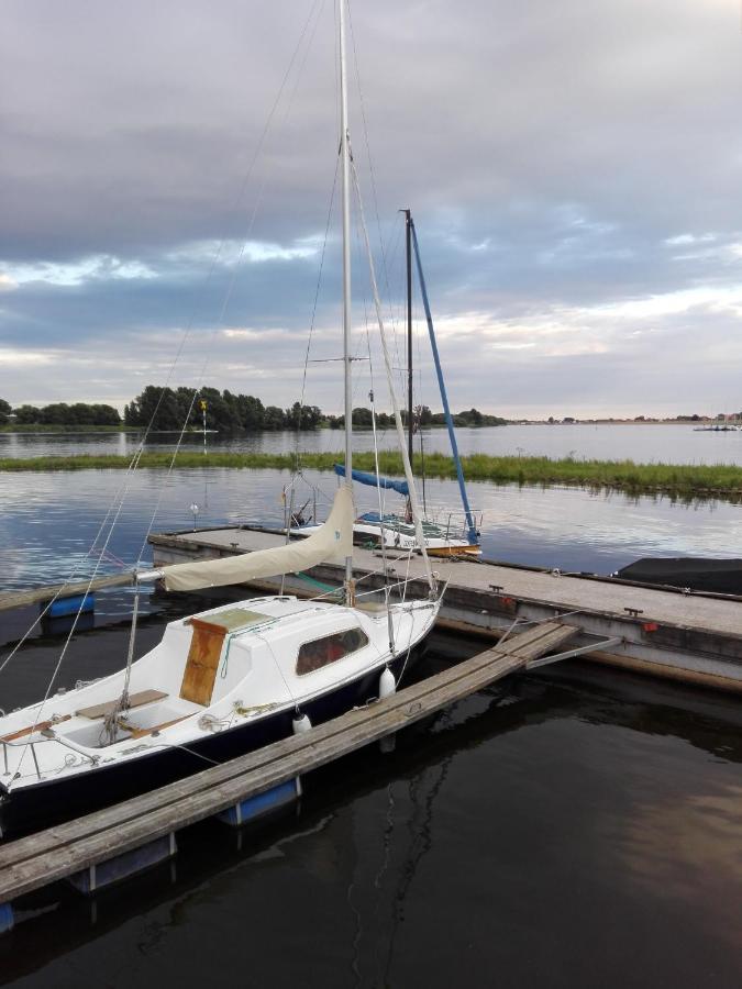 Ferienwohnung Elbe Diek Stelle Exteriör bild