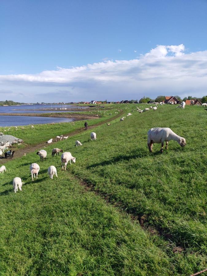 Ferienwohnung Elbe Diek Stelle Exteriör bild