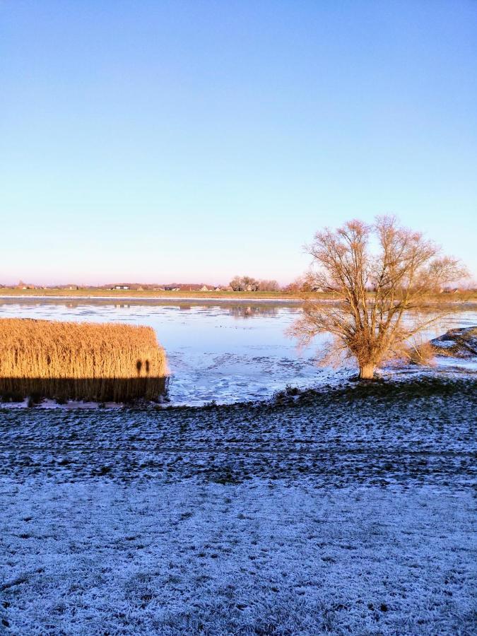 Ferienwohnung Elbe Diek Stelle Exteriör bild