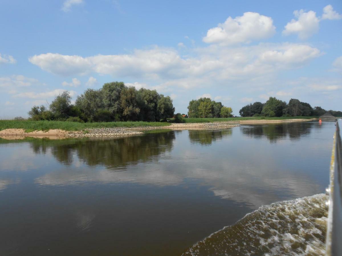 Ferienwohnung Elbe Diek Stelle Exteriör bild